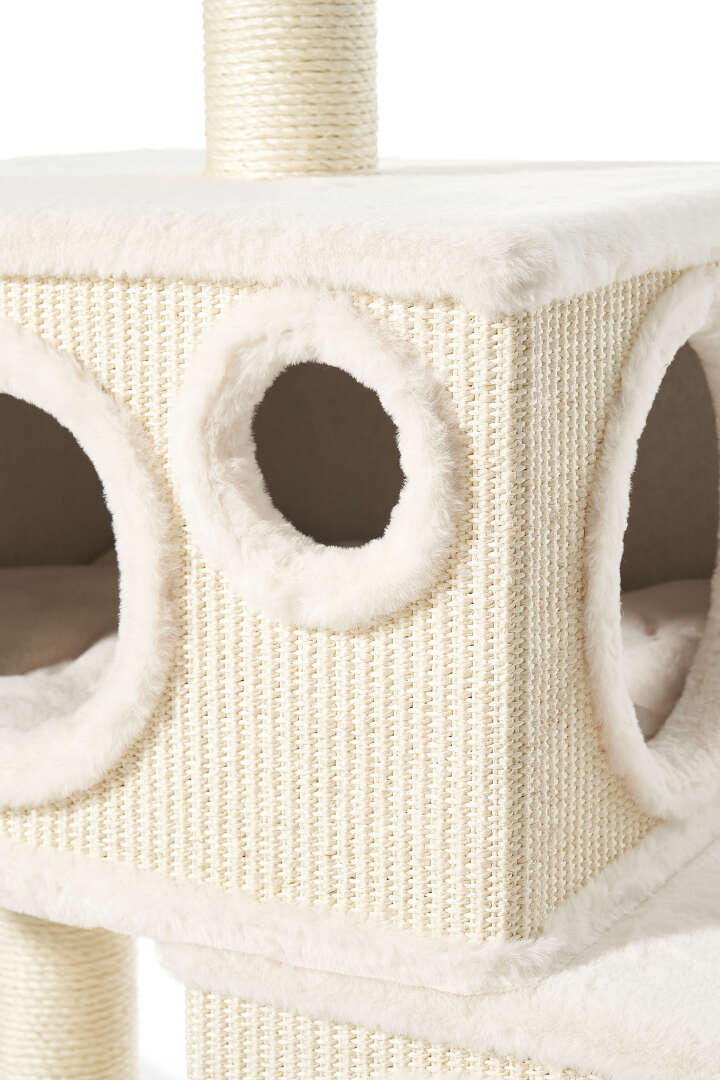 Nobby Kratzbaum Binka